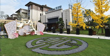 碧桂园集团成都区域 引领年轻力量的十大名企房地产开发典范