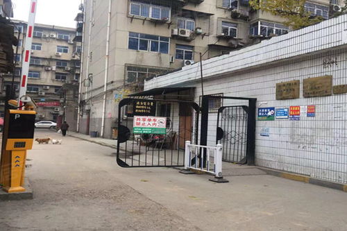 西安玻璃制品厂家属院深度解析 优点、不足与周边市场观察